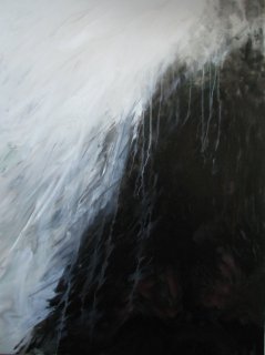 Fog and Forest