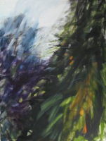 Fog and Rain in the Forrest Two