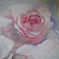 Oh the Rose