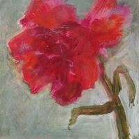Oh the Rose - Little Lady