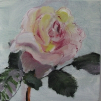 Oh the Rose Ten